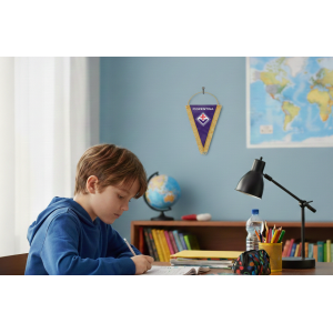 Gagliardetto 28x20cm compatibile con fiorentina