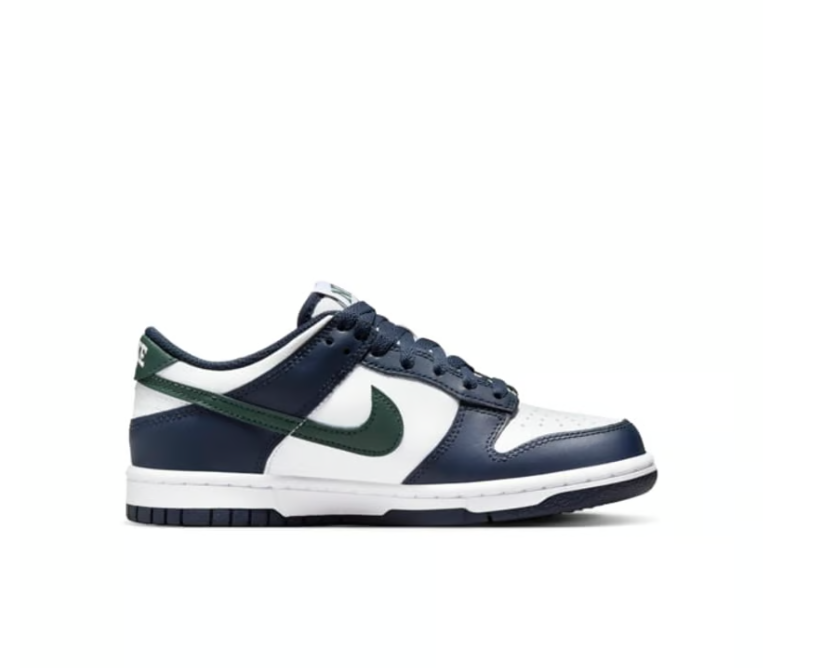 Scarpe Nike Dunk Low GS Obsidian/vintage green