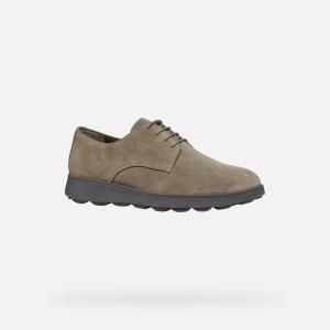 Scarpe  spherica scamosciata tipo clark beige uomo