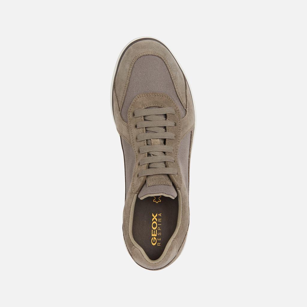 Sneakers Geox Spherica EC12 uomo castoro