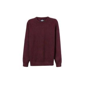 Maglione girocollo in cotone bordeaux uomo