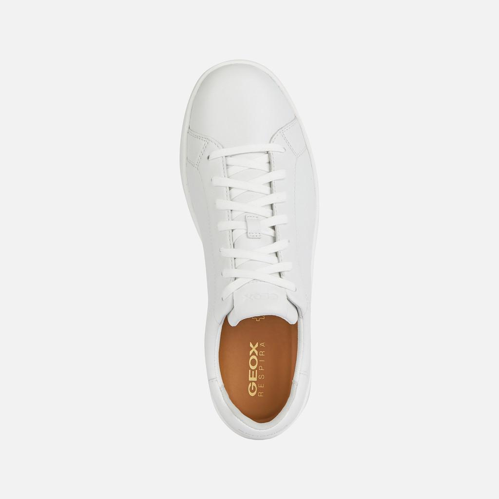 Scarpe Geox Spherica Ecub White uomo