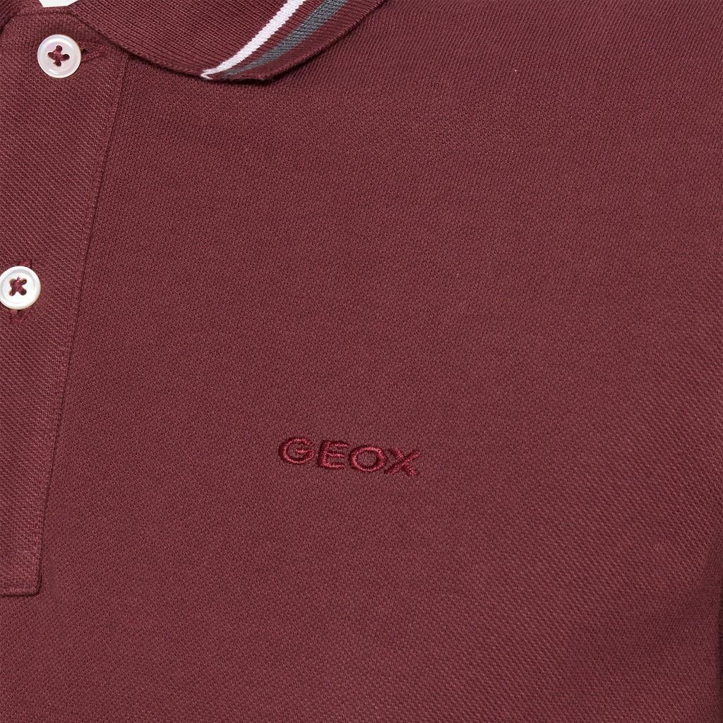 Polo manica corta da uomo Geox bordeaux
