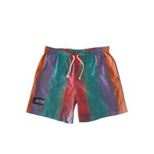Costume vintage  l'alpina uomo multicolor