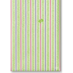 Camicia  righe