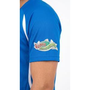 Maglia sportiva  nazionale italiana figc